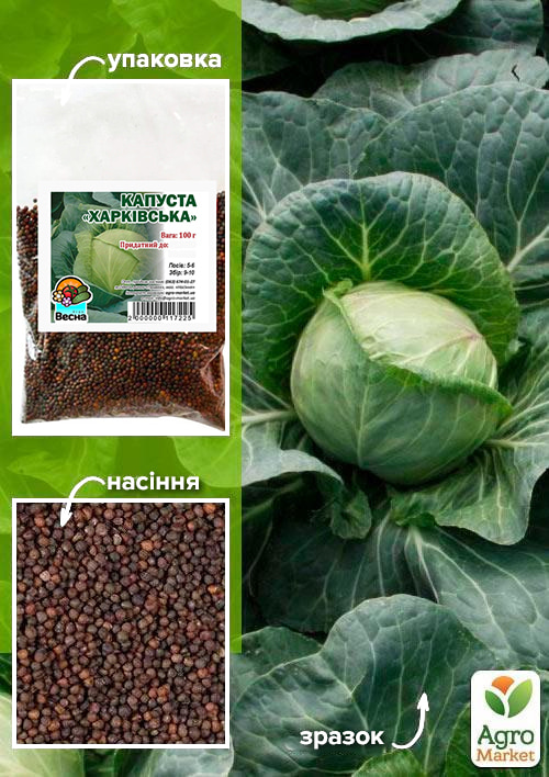 Капуста "Харківська" ТМ "Весна" 100г