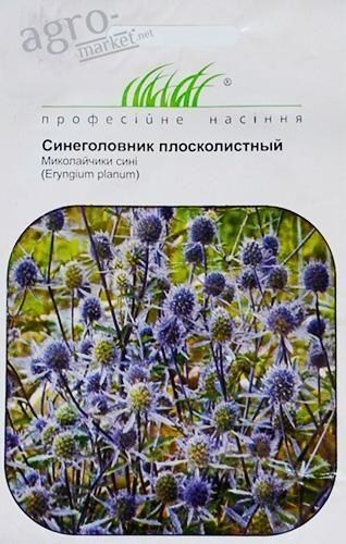 Синьоголовник "Плосколистий" ТМ "Hem Zaden" 0.2г