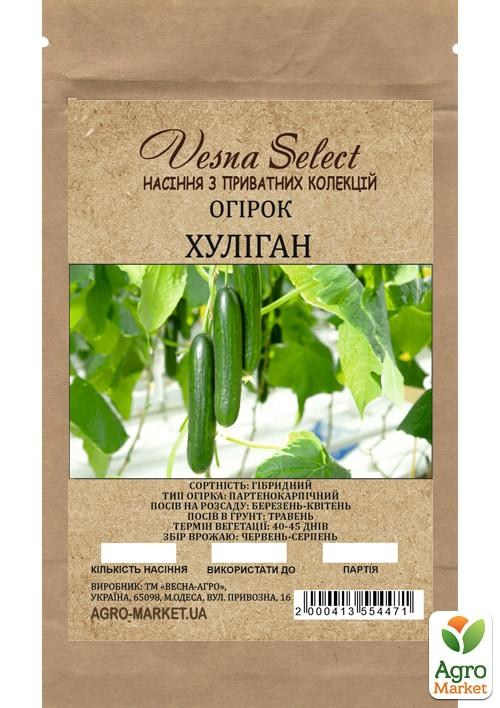 Огурец "Хулиган" ТМ "Vesna Select" 2г - фото 2