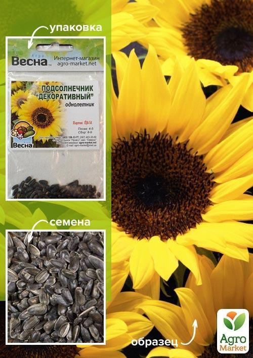Подсолнечник "Декоративный" (Зипер) ТМ "Весна" 2г