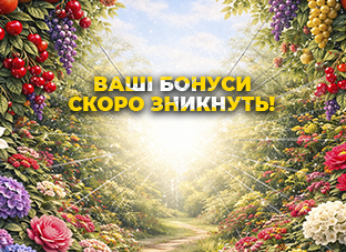 Ваші бонуси скоро зникнуть!