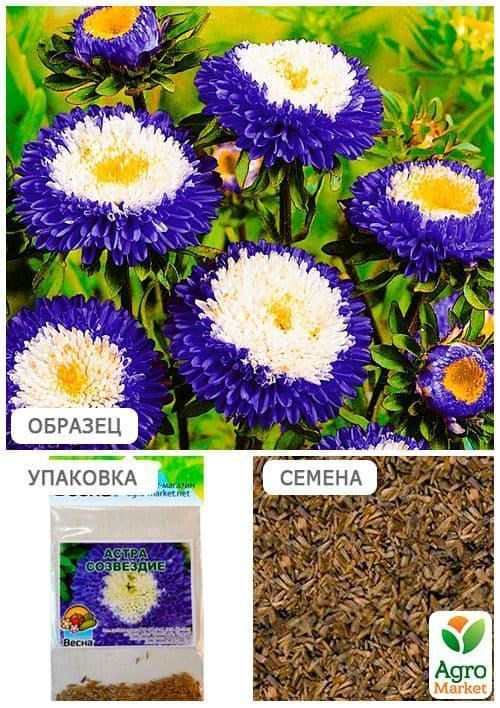 Астра "Созвездие" (Зипер) ТМ "Весна" 0,5г - фото 2