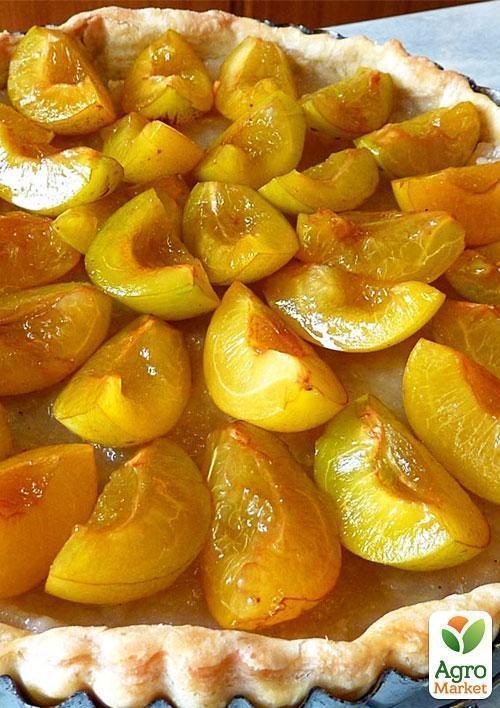 Ексклюзив! Слива яскраво-жовта "Сонячний відтінок" (Sunny shade) (преміальний великоплідний сорт) - фото 5