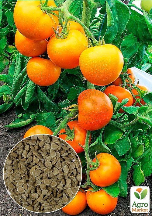 На развес Томат "Дина" ТМ "Весна" цена за 1г