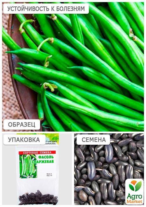Квасоля спаржева "Зелена" (Зипер) ТМ "Весна" 5г - фото 2