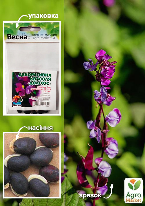 Декоративна квасоля "Доліхос" (Зипер) ТМ "Весна" 5шт