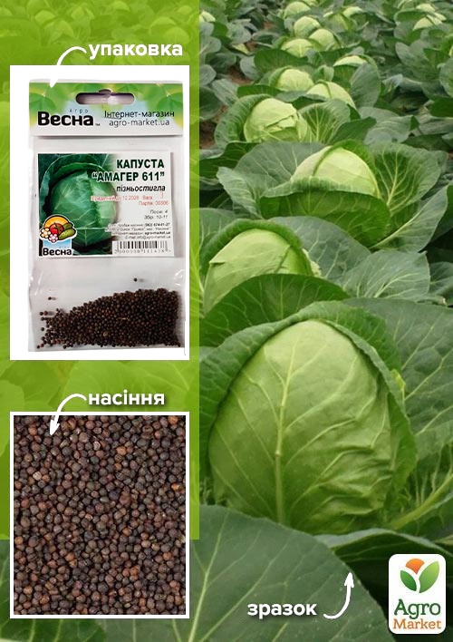 Капуста "Амагер 611" (Зипер) ТМ "Весна" 3г