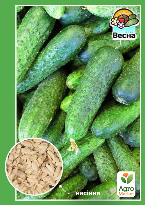 Огірок "Паризький корнішон" ТМ "Весна" 0.5г