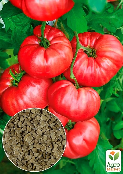 На развес Томат "Брутус" ТМ "Весна" цена за 1г