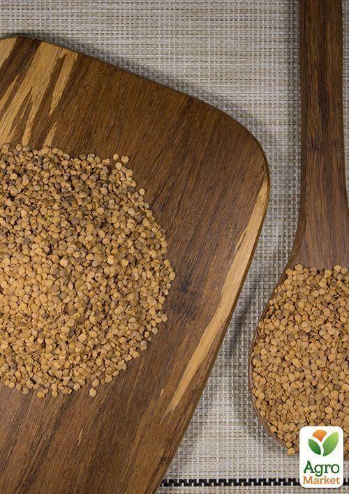 На вагу Баклажан "Чорний Красень" ТМ "Весна" ціна за 2г - фото 2