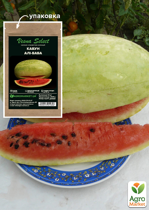 Кавун "Алі-Баба" ТМ "Vesna Select" 10шт