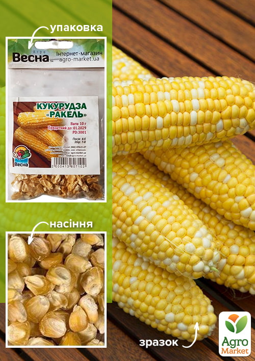 Кукуруза "Ракель" (Зипер) ТМ "Весна" 10г