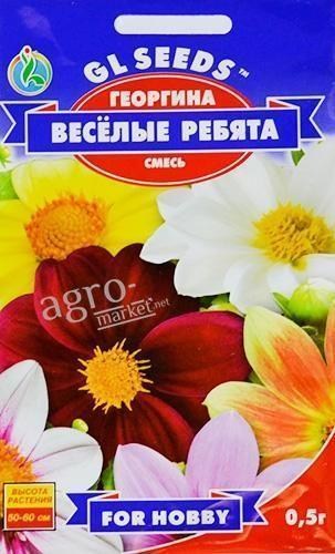 Жоржина "Веселі хлопці" ТМ "GL SEEDS" 0.5г