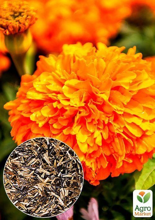 На развес Бархатцы "Оранж" ТМ "Весна" цена за 2г