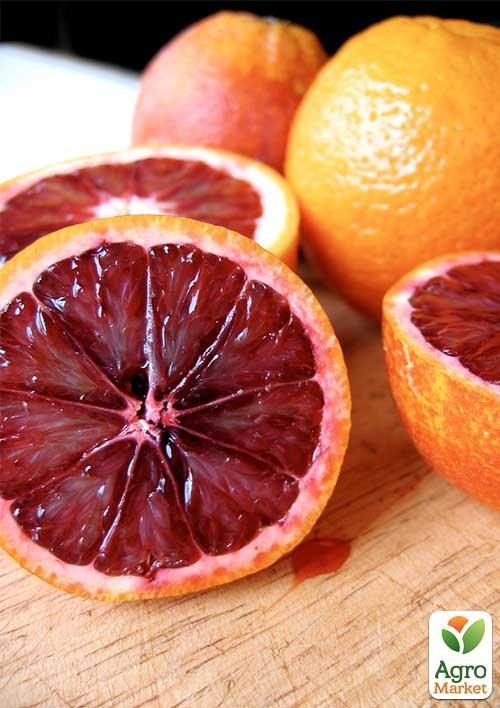 Апельсин "Моро"