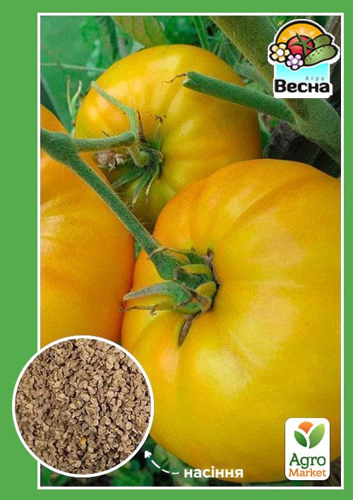 Томат "Микадо желтый" ТМ "Весна" 0.1г