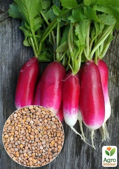 На развес Редис "18 дней" ТМ "Весна" цена  за 10г