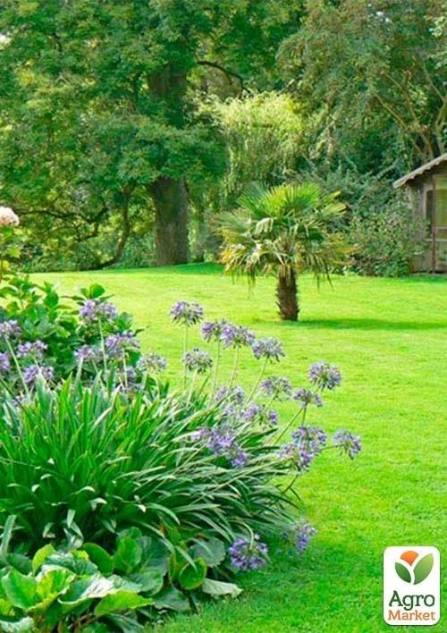 Газонная травосмесь "Универсальная" ТМ "Семейный сад" 800г - фото 3