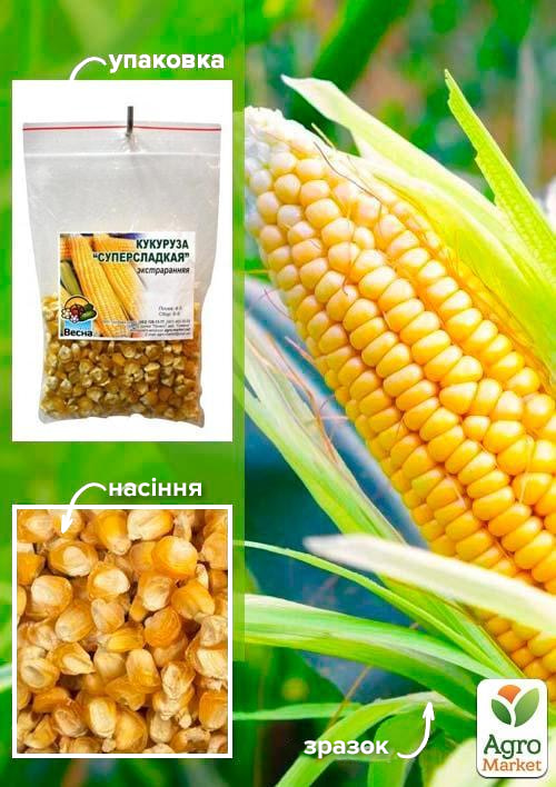 Кукурудза "Суперсолодка" ТМ "Весна" 100г
