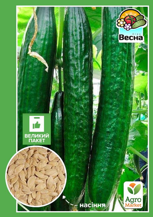 Огірок "Китайське диво" (Великий пакет) ТМ "Весна" 1г
