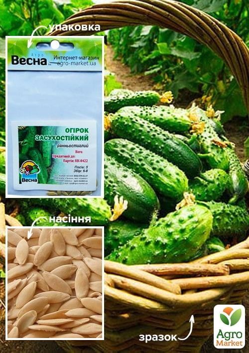 Огірок "Засухостійкий" (Зипер) ТМ "Весна" 2г