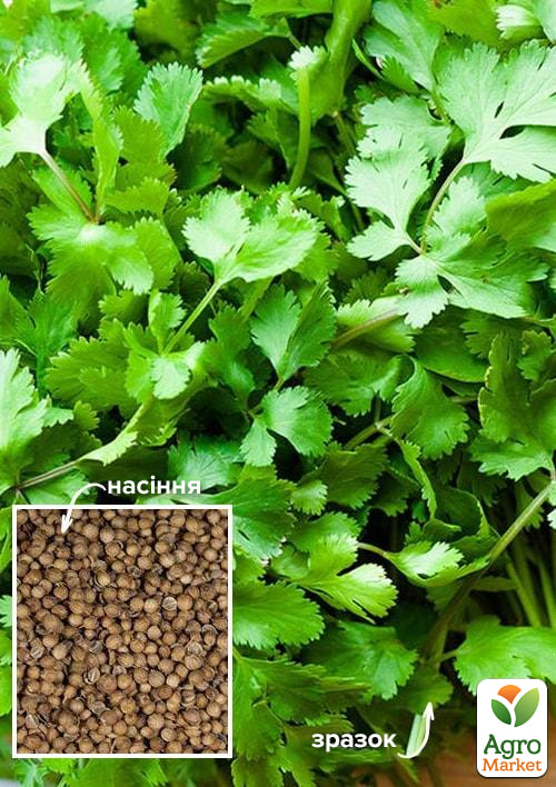 На вагу Коріандр "Пікантний" ТМ "Весна" ціна за 20г