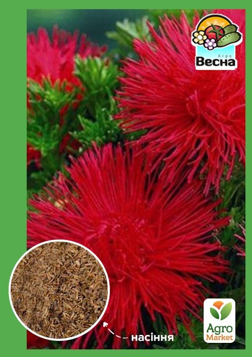 Айстра "Краков'як" ТМ "Весна" 0.2г