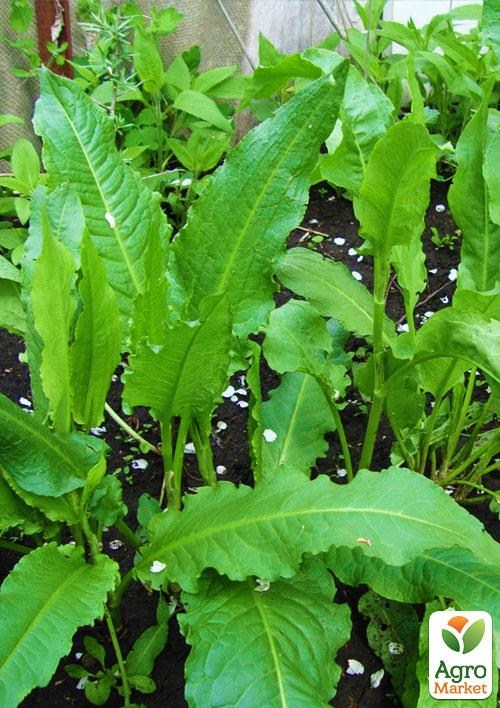 Шпинат "Утеуша" (в банке) ТМ "Весна Органик" 4г