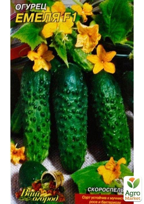 Огурец "Емеля F1" ТМ "Весна"  0.25г - фото 2