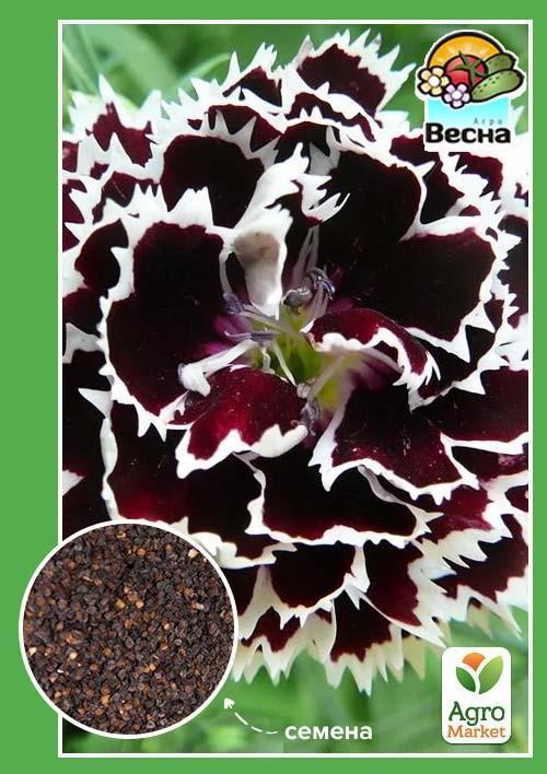 Гвоздика "Чорна вуаль" ТМ "Весна" 0.3г