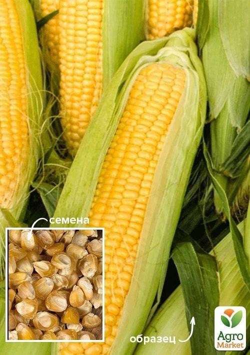 Кукуруза "Конкурент" ТМ "Весна" 500г