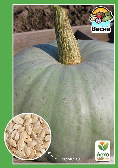 Тыква "Волжская серая" ТМ "Весна" 2г