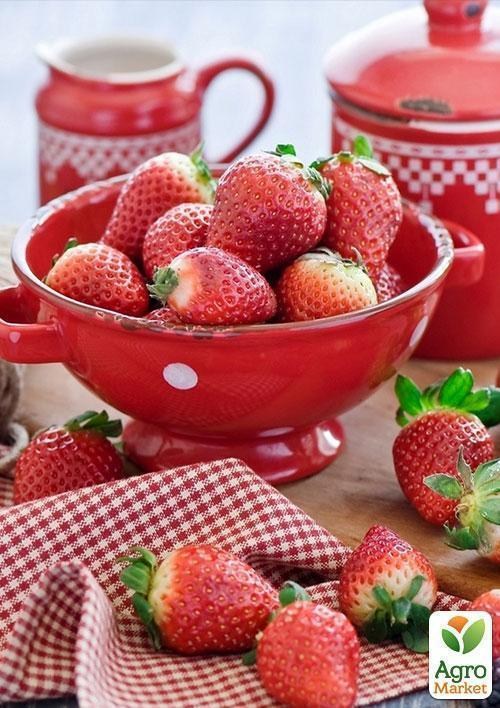 Полуниця "Польський Елькат" 5шт (середнього терміну дозрівання) - фото 5