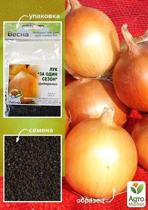 Лук "За один сезон" (Зипер) ТМ "Весна" 3г