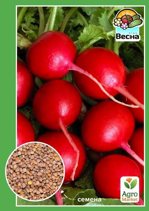 Редис "Заря" ТМ "Весна" 2г