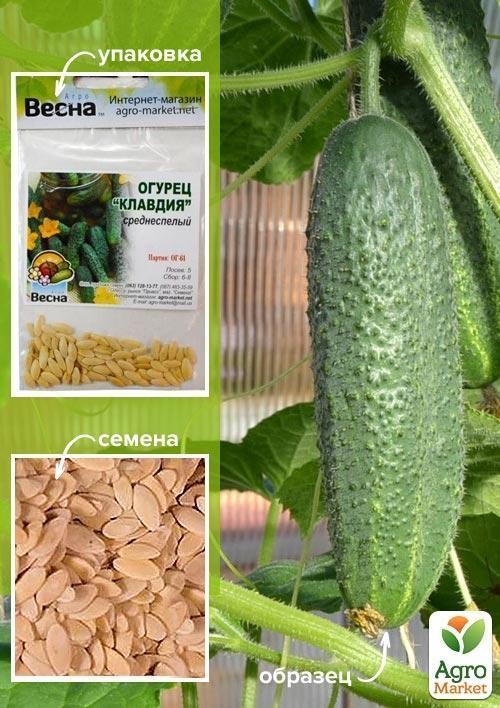 Огірок "Клавдія" (Зипер) ТМ "Весна" 1.5г