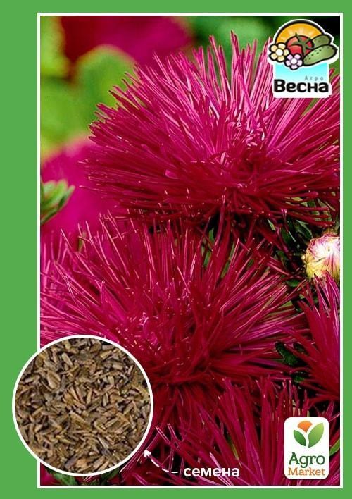 Айстра "Вишневий король" ТМ "Весна" 0.2г