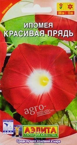 Ипомея "Красивая прядь" ТМ "АЭЛИТА" 1г