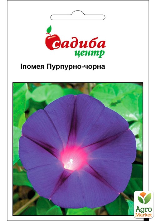 Іпомея "Пурпурно-чорна" ТМ "Садиба центр" 0.5г