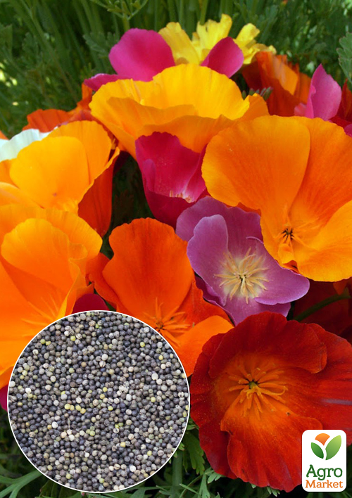 На вагу Ешшольція суміш ТМ "Весна" ціна за 2г