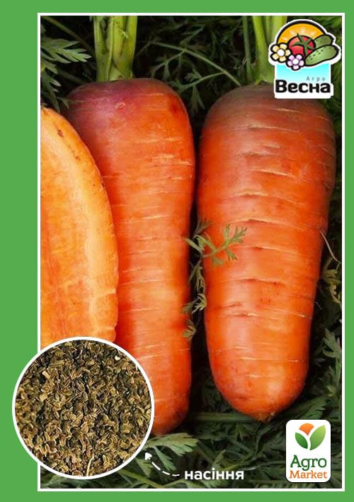Морковь "Шантане" ТМ "Весна" 2г