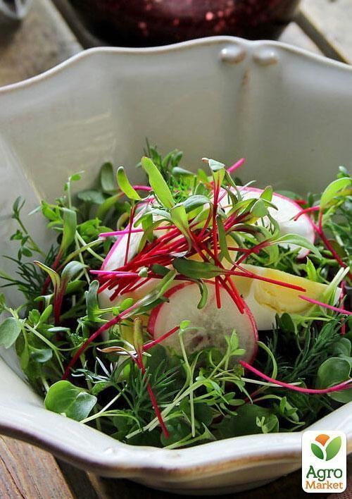 Мікрозелень "Мангольд Червоний" (у банці) ТМ "Твоя Зелена Весна" 7г - фото 3