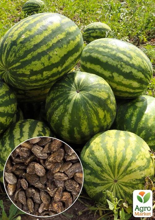 На развес Арбуз "Каристан" ТМ "Весна" цена за 10г