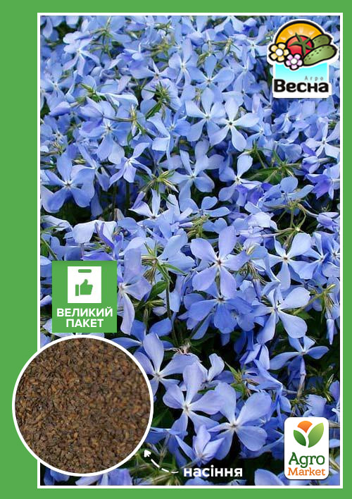 Матіола "Вечірній аромат" (Великий пакет) ТМ "Весна" 4г