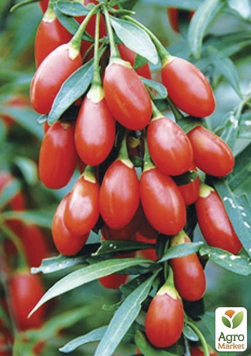 Ягоды годжи "Идеал" ТМ "Vesna Exclusive"10шт