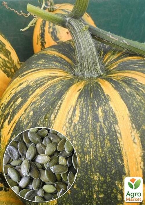 На развес Тыква "Масляная" ТМ "Весна" цена за 10г