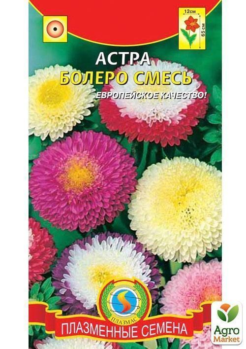 Айстра "Болеро" суміш ТМ "Плазмові насіння" 0,3г