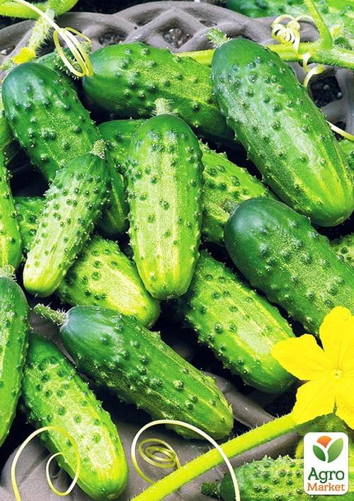 Огурец "Гусар" (в банке) ТМ "Весна Органик" 2г