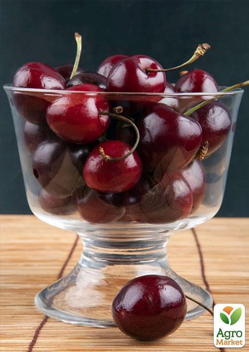 Вишня "Подбельского" (летний сорт, средний срок созревания) - фото 5