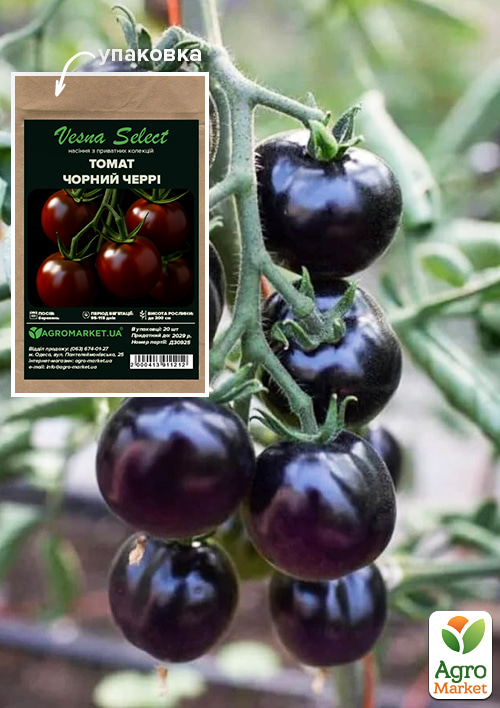 Томат "Черный Черри" ТМ "Vesna Select" 20шт